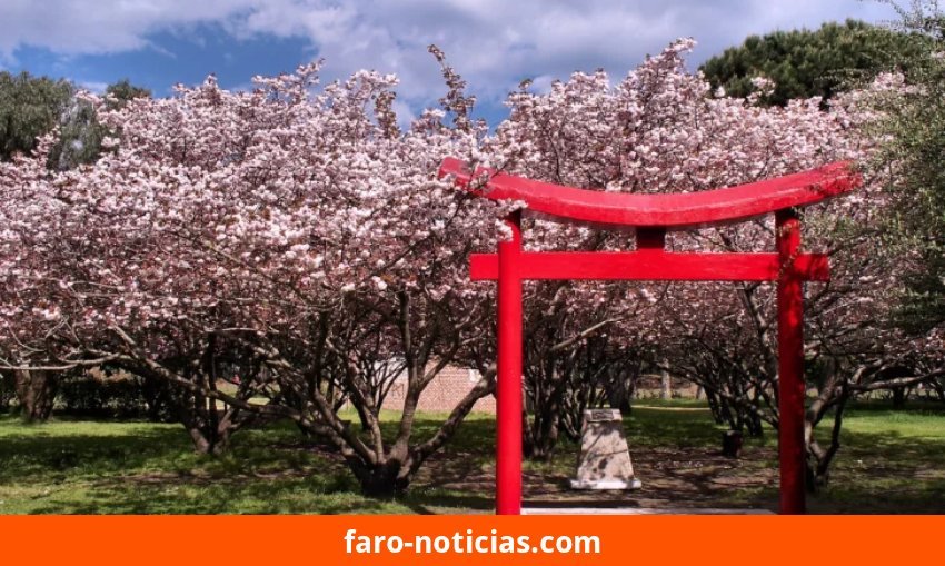 Convocan a artistas a participar del concurso «Miradas al Parque»